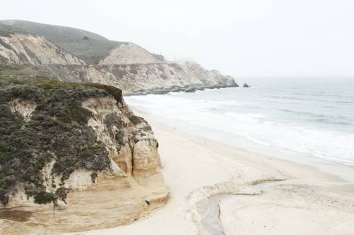 Imagen de naturaleza agua océano mar playa niebla árboles FOTO