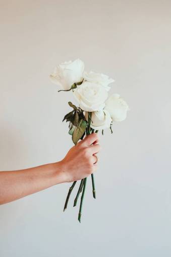 blanco naturaleza ramo primer plano mujer flor mano;mujer;dando;blanco;rosa;flores;bouquet romance