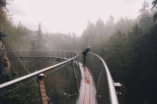 adventure  trip  travel  bridge  woman  girl  trees