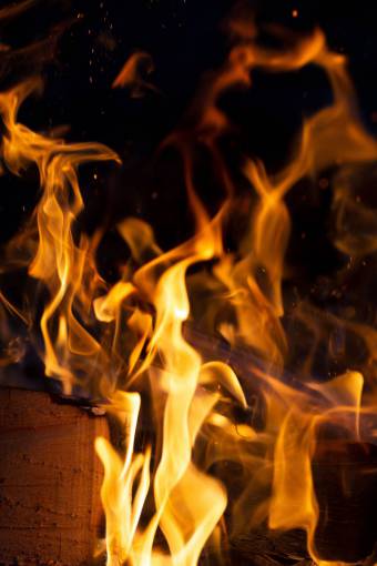 warmth camp  fire  wood  nature  hot  orange  yellow