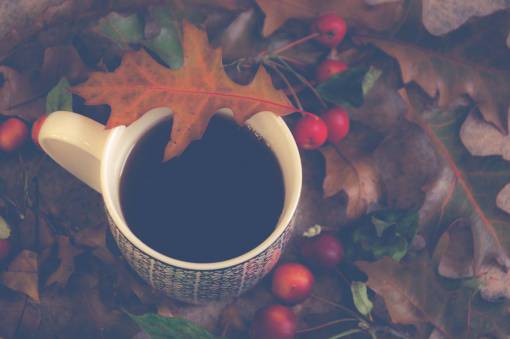cherry coffee  cup  black  outdoors  leaves  autumn  fall