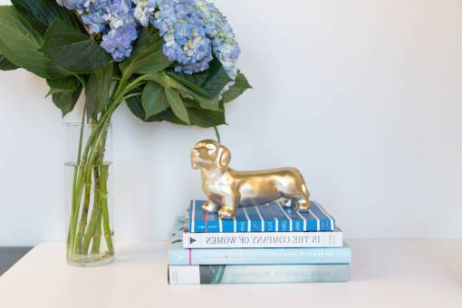 escritorio flores florero oficina libros decoración perro