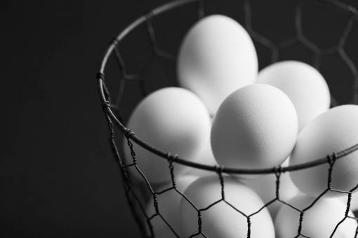 boys eggs  basket  white  food  ingredient  chicken  assortment