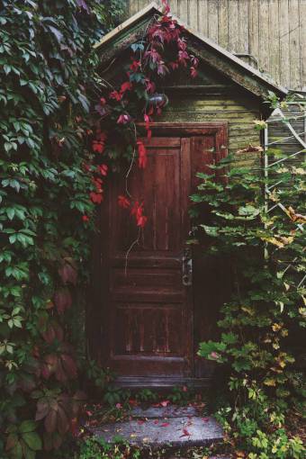 entrance entrance  door  wood  vines  leaves  garden  trees
