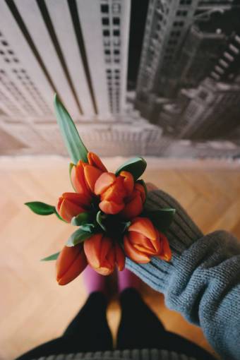 sweater flower  orange  petal  bloom  garden  plant  nature