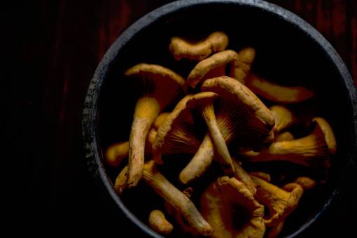 mushroom food  ingredients  container  mushrooms  cooking
