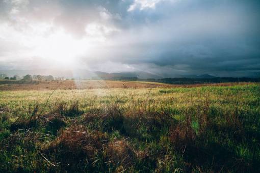 sunbeam grass  field  rural  countryside  landscape  nature  sunbeams