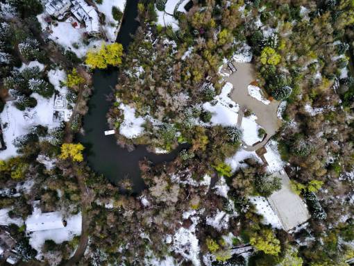 vista aerea plantas verdes árboles vista aérea agua de río