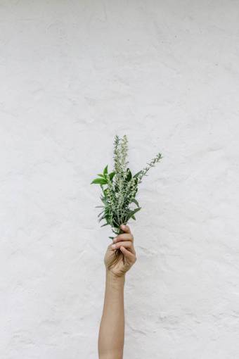 feminine hand  holding  flowers  isolated  background  texture  copy space