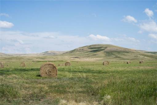 hen hay  bales  grass  fields  rural  country  blue