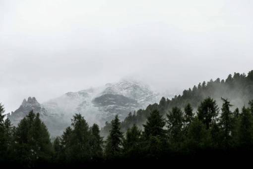 montaña valle árbol planta naturaleza paisaje naturaleza