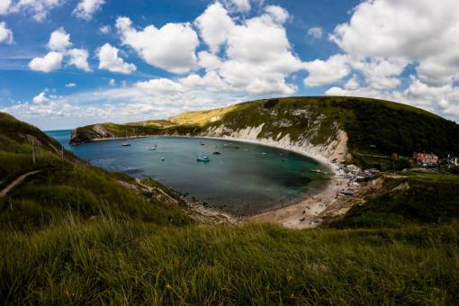 lush nature  landscape  coast  beach  shore  sand  rocks