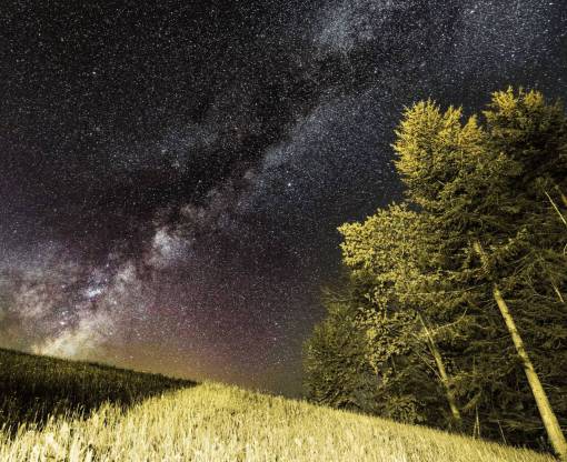 constelacion naturaleza paisaje hierba árboles árboles cielo nocturno estrellas