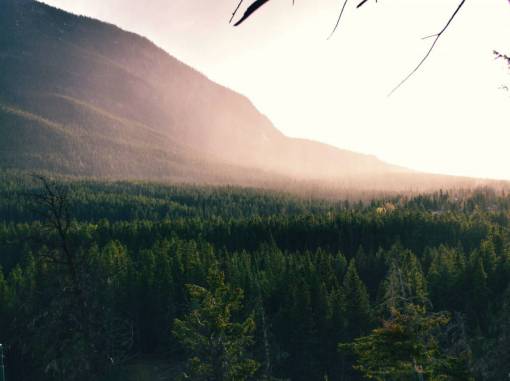 naturaleza paisaje montañas cumbre picos bosques árboles