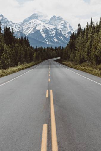 naturaleza carretera viajes aventura árboles bosques bosque
