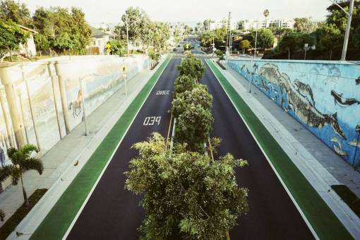 sidewalk ocean park  road  street  grass  trees  graffiti  murals