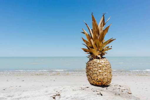 crop-plant pineapple  dessert  appetizer  fruit  juice  crop  beach