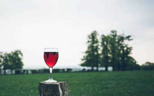 playground red  wine  glass  beverage  drinks  green  grass