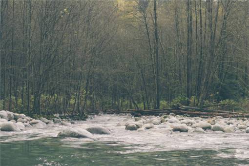 river  water  rocks  trees  forest  woods  nature