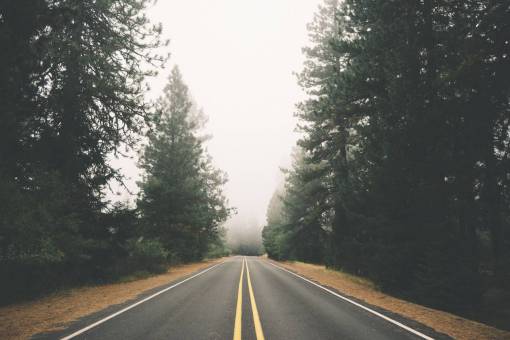 road  trees  forest  woods  empty  fog  country
