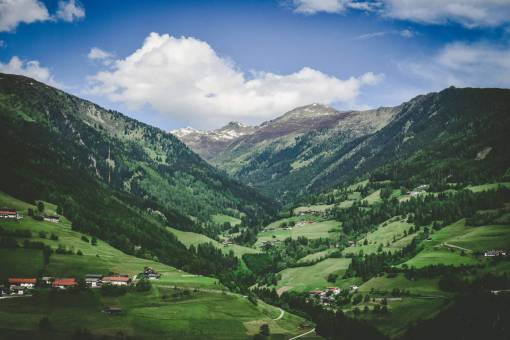 rural  trees  green  grass  mountain  nature  landscape