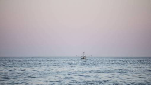 sailing-ship sea  ocean  water  nature  horizon  sky  boat