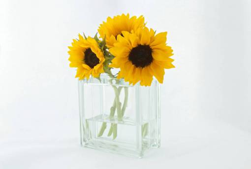 sunflower sunflowers  vase  decor  white
