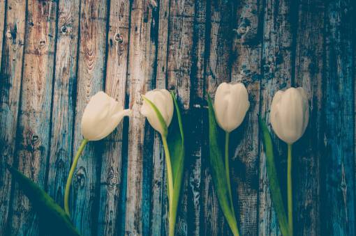 tablero tulipán blanco flor tablero de madera rústico vintage