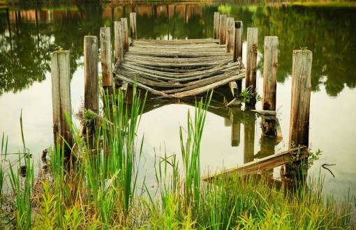 swamp wood  bridge  logs  swamp  water  green  grass