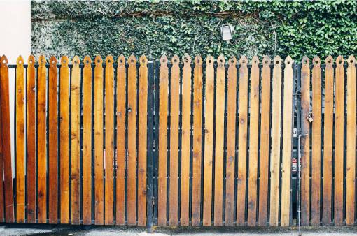 wood  fence  gate  lock  vines  leaves
