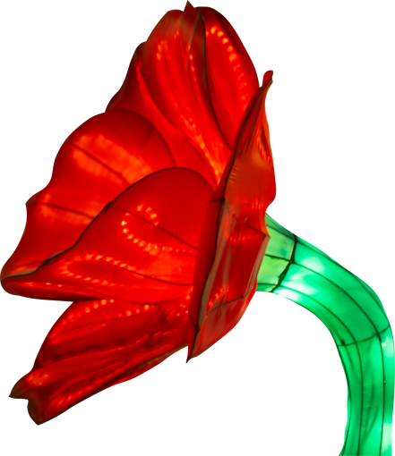 lighting-equipment  decoration backgrounds close-up multi colored green color nature lighting equipment