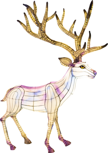 deer  decoration night deer illustration animal backgrounds vector