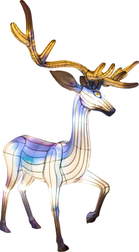 deer  decoration vector nature animal deer illustration