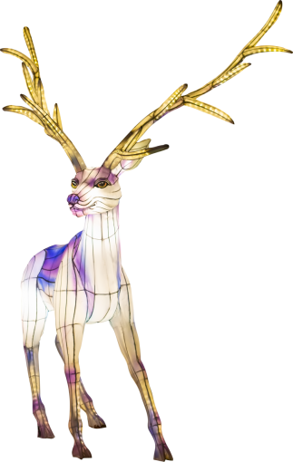 deer  deer decoration backgrounds celebration night animal