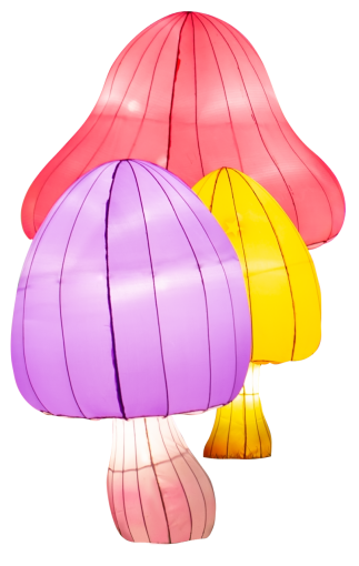 lantern  multi colored outdoors nature night