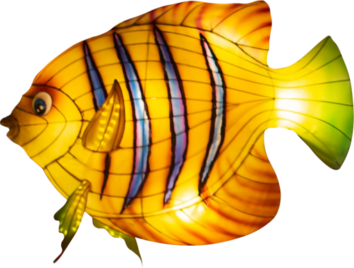 lantern  multi colored yellow fish animal nature backgrounds