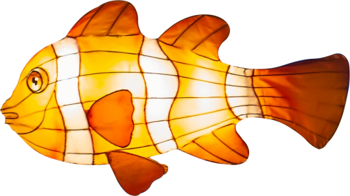 lantern  pattern multi colored backgrounds fish animal nature yellow