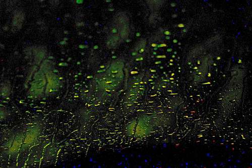 crystal-clear-water background of raindrops on glass at night
