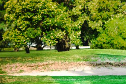 recurso Hermoso campo de golf