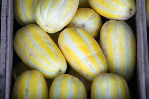 agricultural-activity Box of Golden sweet melon for sale