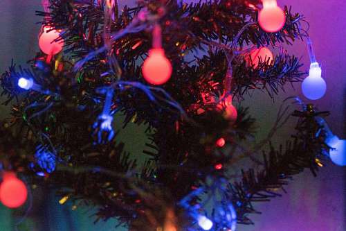 bombo Árbol de Navidad con bombillas encendidas