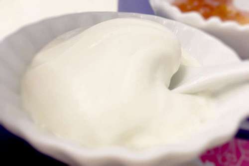 congelado Crema o yogur helado