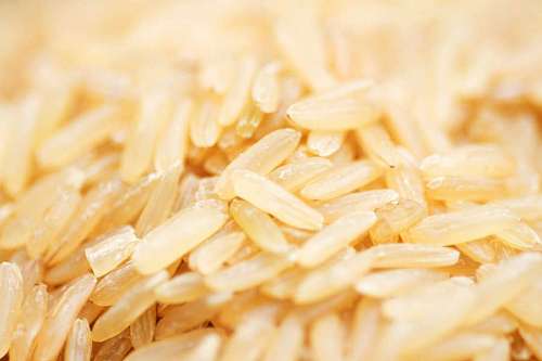 fiber Detail of brown rice