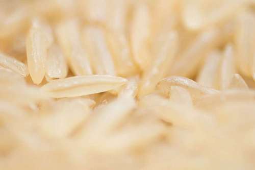 fiber Detail of brown rice