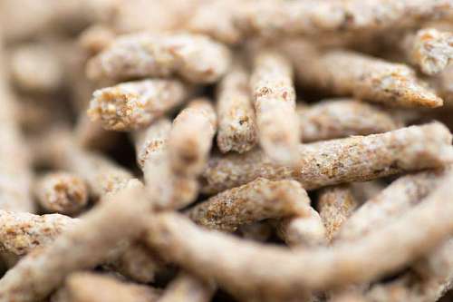 fiber Detail of dietary fiber