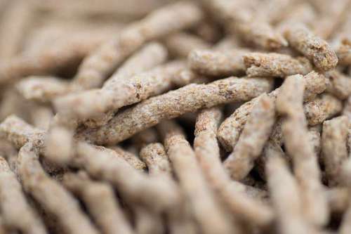fiber Detail of dietary fiber