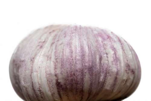 garlic Detail of fresh garlic