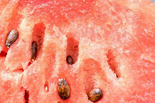 nourishing Detailed closeup of watermelon