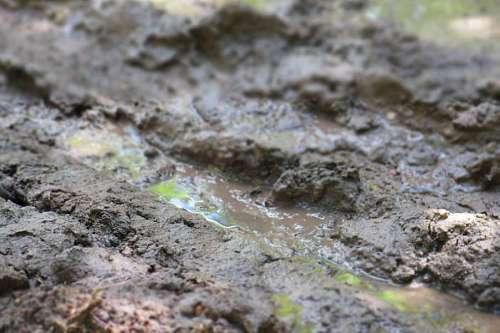 mud Dirt wet road
