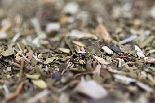 indian Dry yerba mate leaves, traditional drink of Argentina